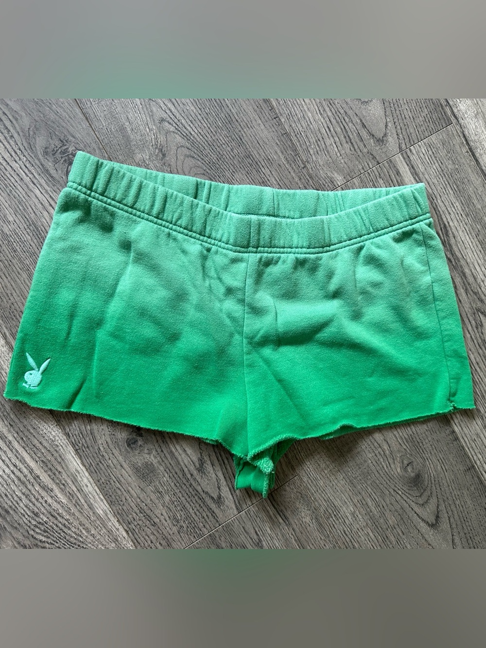 PLAYBOY Green Gradient Bike Shorts